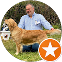 Allan Tingsveit profile picture